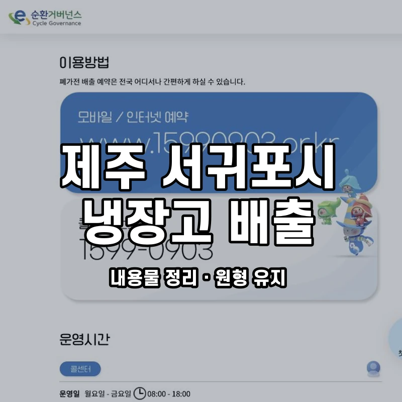 e순환거버넌스 공식 폐가전 방문수거 안내 화면